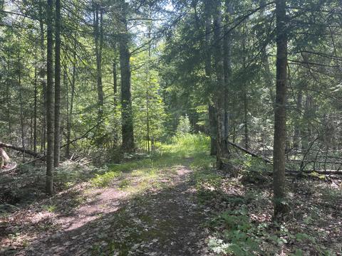 Lt0 Nutt, Amberg, WI 54102