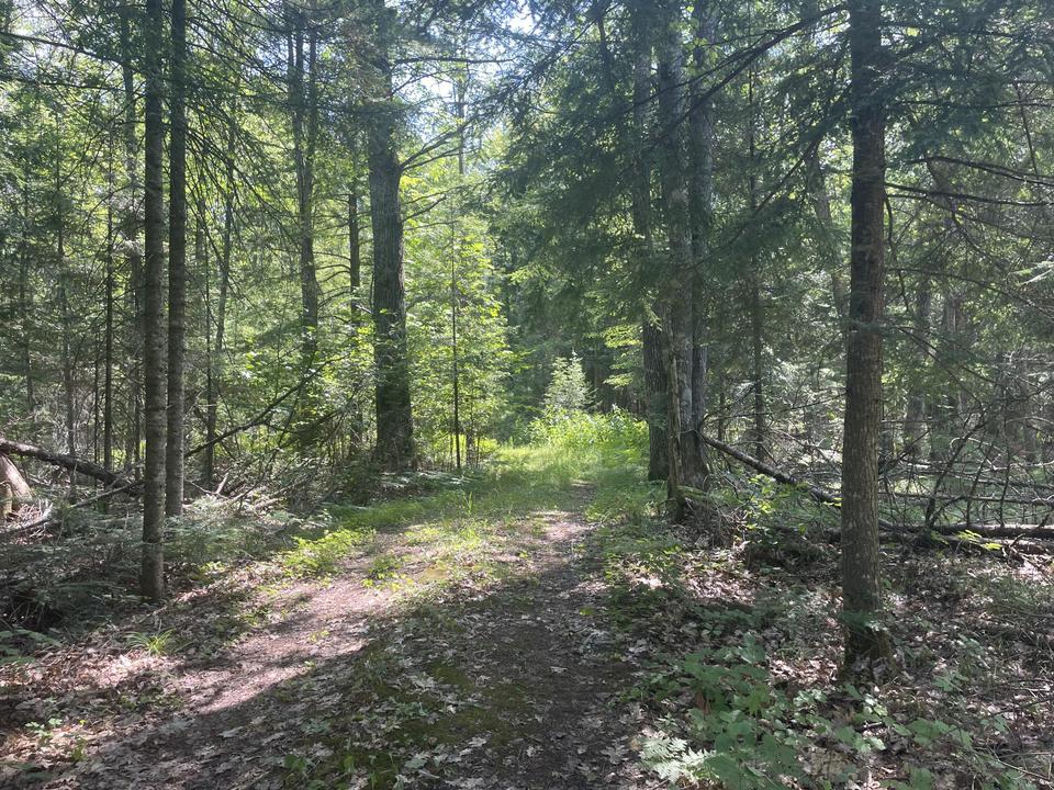  Lt0 Nutt, Amberg, WI 54102 photo 1