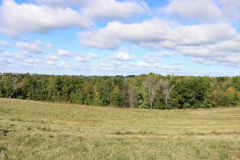 Lot 9 Willow, Shelby, WI 54601