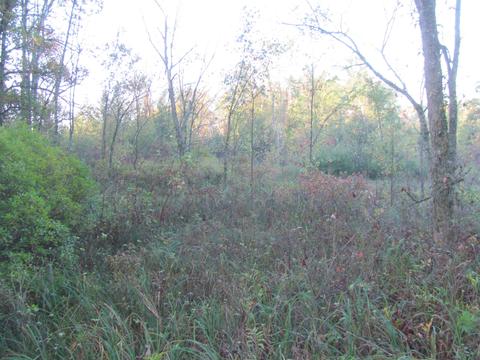 33 Chicago Drive, Leon, WI 54970