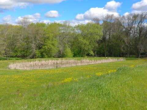 Lt2 Audubon, Howards Grove, WI 53083