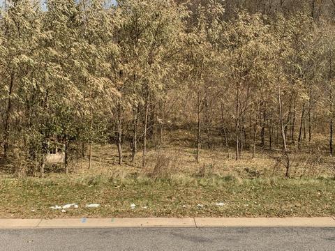 8890 Rollin Sunset, Stockton, MN 55987