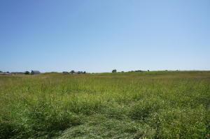 Lt80 Meadows, Cedar Grove, WI 53013