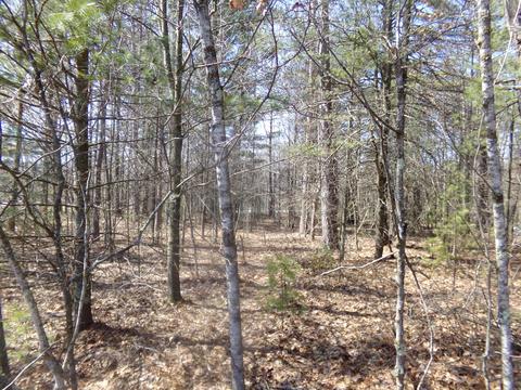 Lt4 Peshtigo Brook, Breed, WI 54174