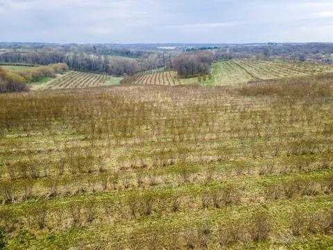 51950 County Road C, Utica, WI 54655