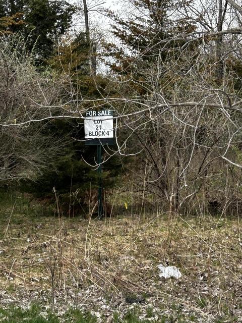 Lt21 Washington, Linn, WI 53147