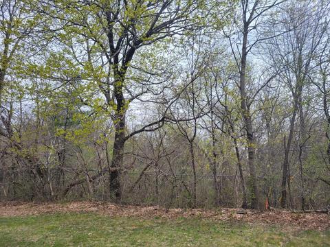 Lt10 Sandy Beach Lt11, Mukwonago, WI 53149