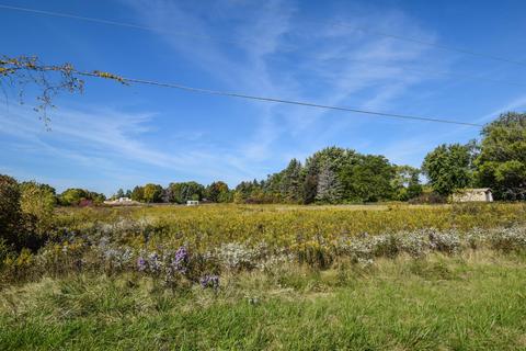 Lt0 Bay Filly, Caledonia, WI 53402