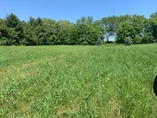 Lt1 Daisy, Bloomfield, WI 53128