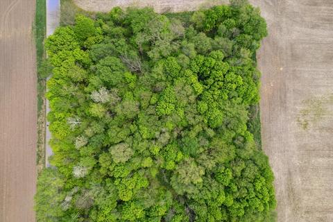 Lt1 Gerbig, Marion, WI 54950
