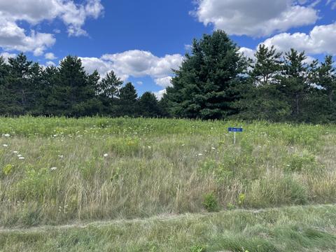 300 Spruce #LT 55, Delafield, WI 53018