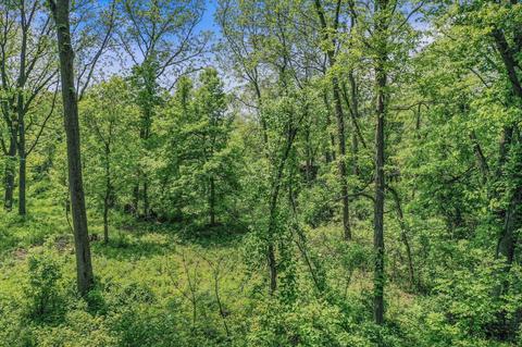 Lt1 South Shore, Palmyra, WI 53156