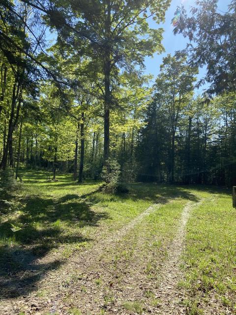W3511 Highway 180, Wagner, WI 54177