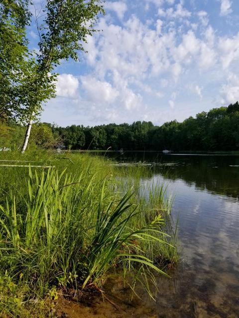 10286 Marl Lk, Brazeau, WI 54161