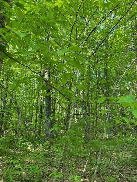 Lt1 Roush, Wausaukee, WI 54177