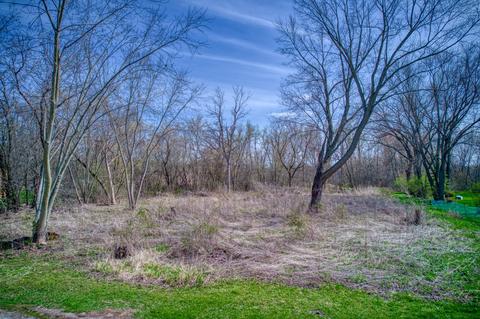 Lt19 Rose Lt20, Bloomfield, WI 53128