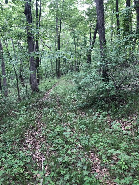 Lot0 Charlies, Greenfield, WI 54623