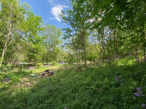 Lt0 Begonia, Geneva, WI 53147