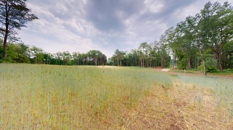 Lot 4 Bywater, Trempealeau, WI 54661