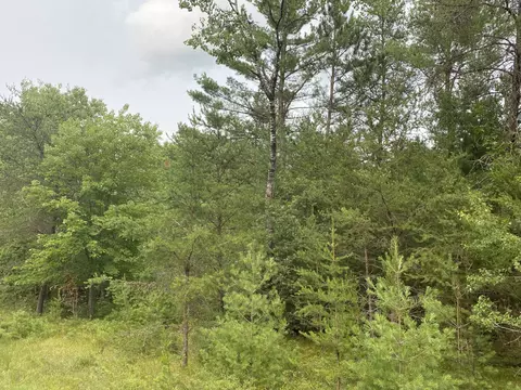 Lt 38-40 Deepwoods, Stephenson, WI 54114