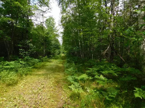 Lt0 Walesh, Silver Cliff, WI 54104