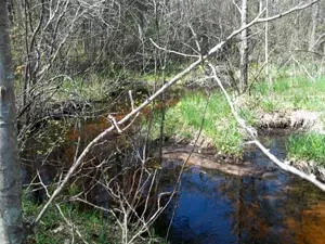 Lt27 Natures Trail, Stephenson, WI 54114