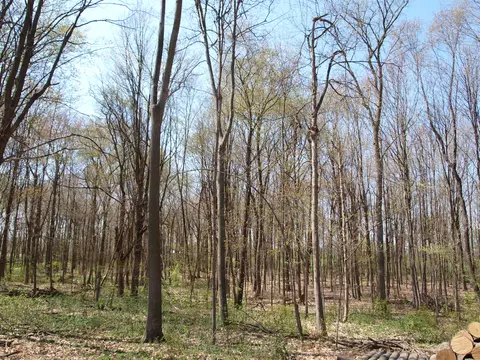 Lt4 Oaklawn, Hustisford, WI 53059