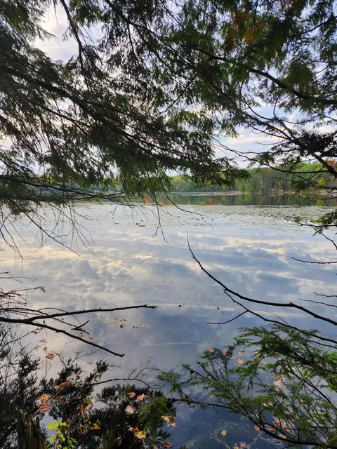 Lt1 Lake John, Lakewood, WI 54138