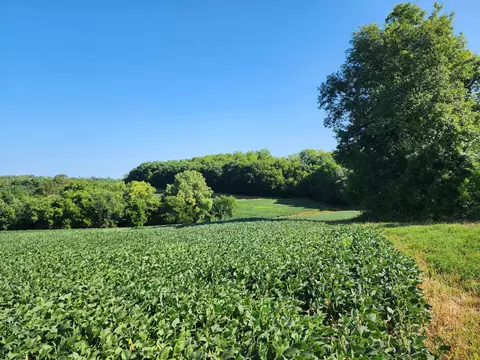 00 State Highway 82, Wheatland, WI 54624