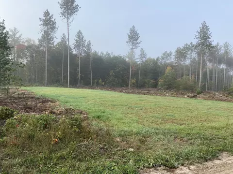 Lt0 Back Acres, Beecher, WI 54156