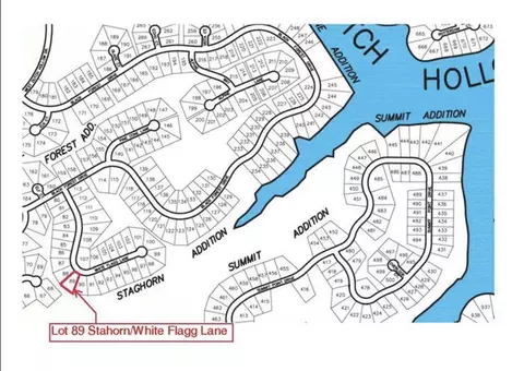 Lt89 Staghorn White Flagg, Woodland, WI 53941