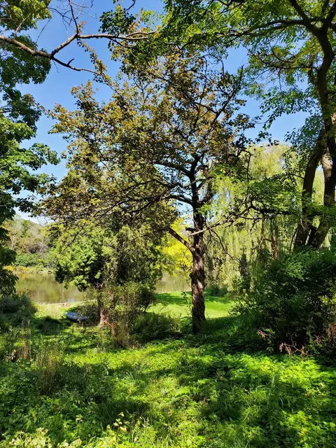 902 W Eula, Glendale, WI 53209