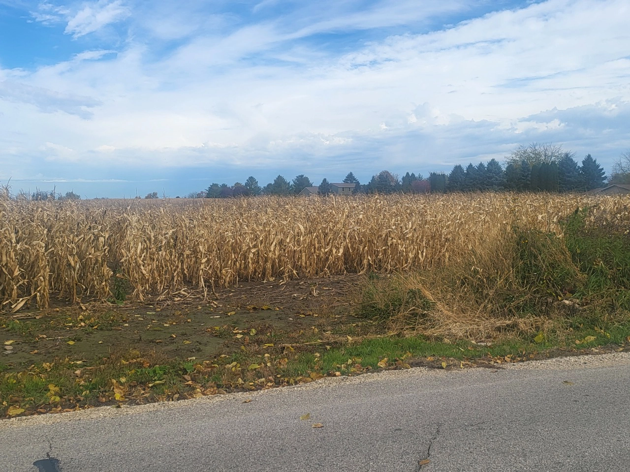 Lt00 Hilldale