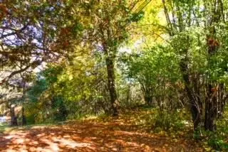 Lt0 Silvernail, Delafield, WI 53072