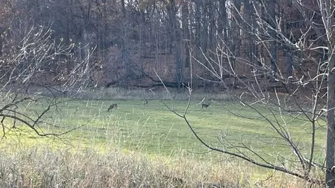 305 S Clark #LOT 2, Mayville, WI 53050