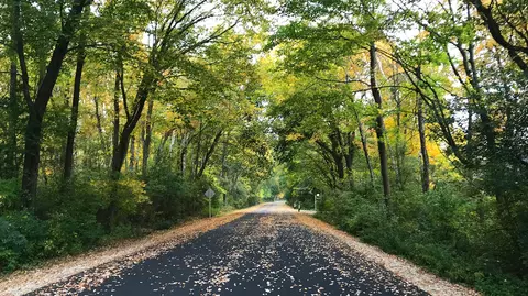 332 Deepwood #LT 3, Wind Point, WI 53402