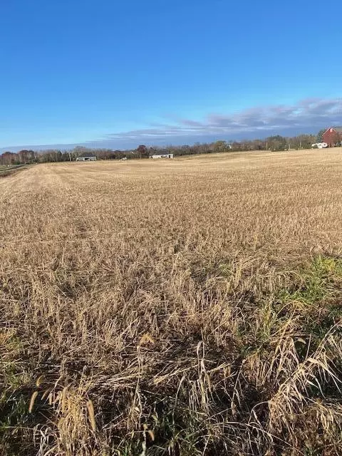 Lt4 Blue Crane, Rochester, WI 53105