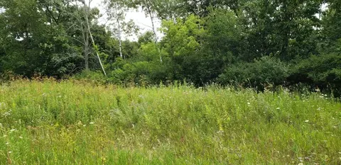 Lt13 Blue Heron, Whitewater, WI 53190