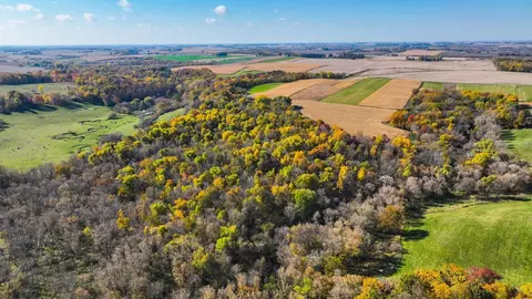 0 100, Pine Island, MN 55963