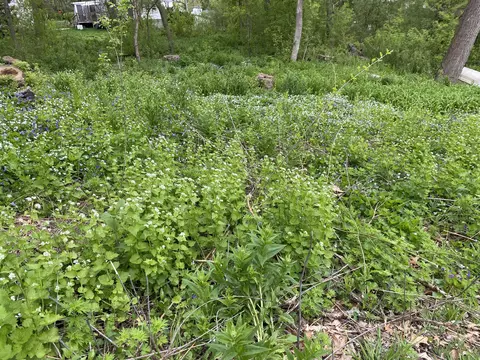 Lt 13 Hillcrest, Palmyra, WI 53156