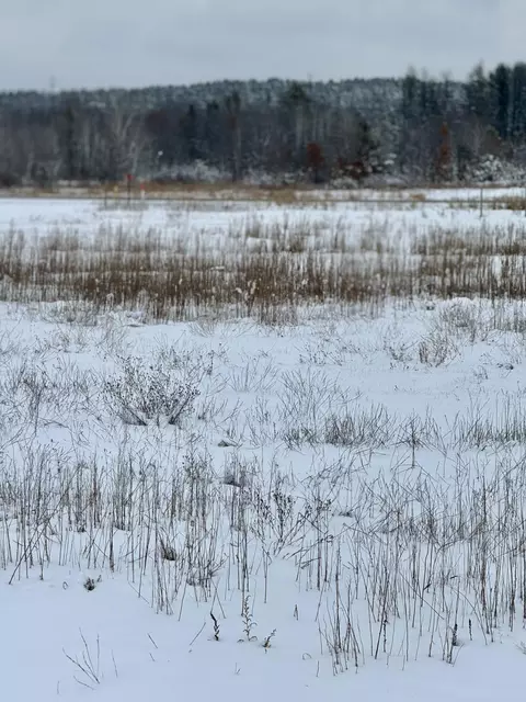 Lot 12 Impact, Angelo, WI 54656