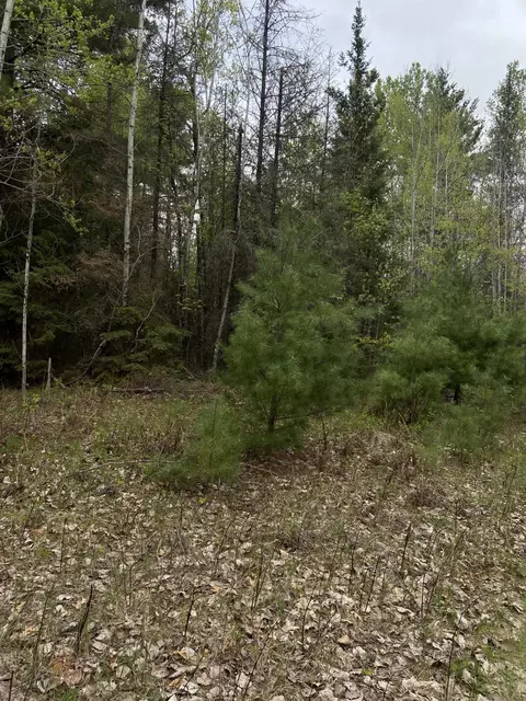 Lt0 Barker, Amberg, WI 54102