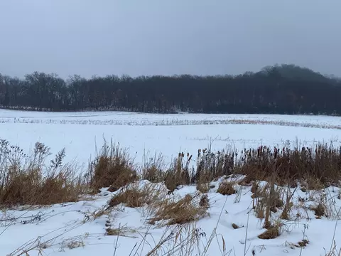 0 Niedfeldt, Burns, WI 54614