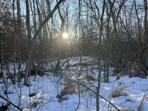 Lt0 Hempton Lake, Cato, WI 54230