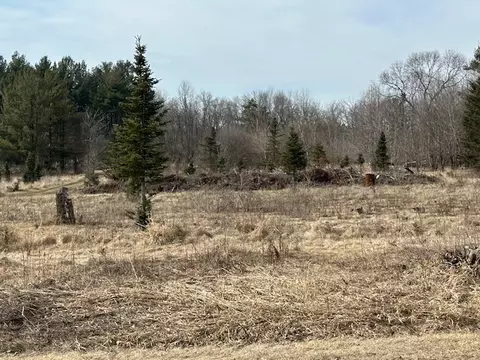 Lt6 Danbury, Emmet, WI 53098