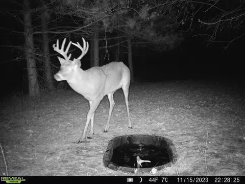 N39974 Gavel, Hale, WI 54773