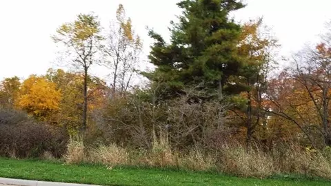 Lt8 Albert, Manitowoc, WI 54220