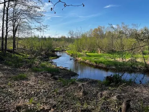 w6086 Sand Road, Harris, WI 53964