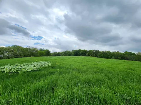0 Market, Portland, WI 54619