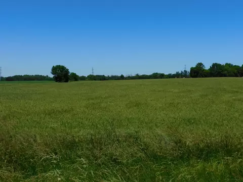 Lt2 W 7 Mile, Raymond, WI 53126